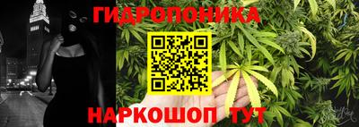 шишки Ярцево