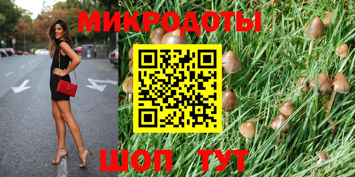 Туапсе  продажа наркотиков  Вход с VPN  Псилоцибиновые грибы Cubensis 